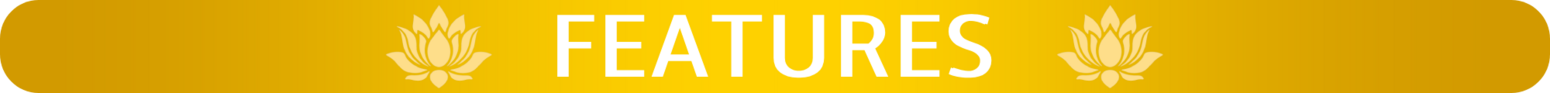 Features (1).png