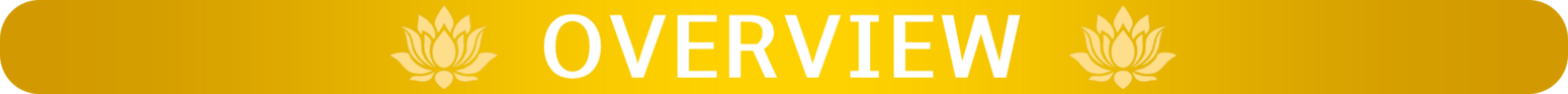 Overview.png
