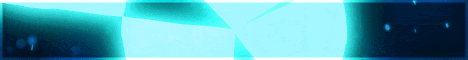 standard (1).gif
