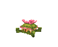 flora_crate.gif