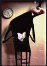1000030234.png