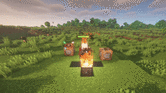 FORPLAYER.gif