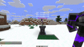 5.gif