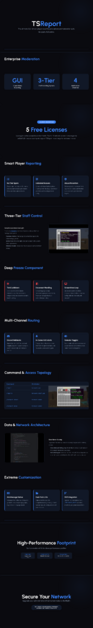 TSReport Plugin Showcase Final.png
