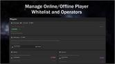 minecraftplayermanager2.png