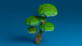 asset45.png