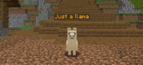 entity.png