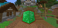 item_display.png