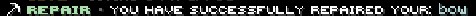 repair.png