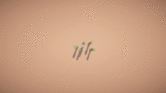 14.gif
