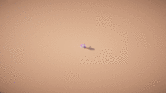 17.gif