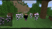 ezgif-4fdda482af64d6b0.gif