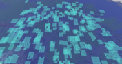 1781339584914.png