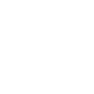 Sy