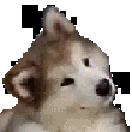 D a r k