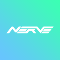 Nerve