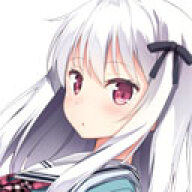 netv4r