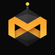 Medal LLC