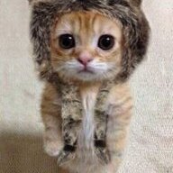 FuryRS