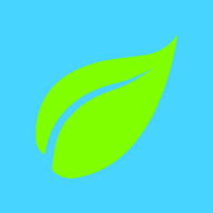 leaf26