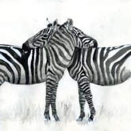 ZebraMCAlts