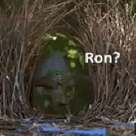 UrTailIsSmol
