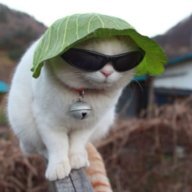bobman