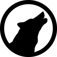 cameronraygun