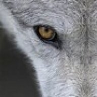 _TheWolfe