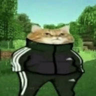 BFreezy