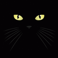 Kitty
