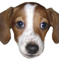 FrankerZ