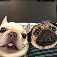 Ano