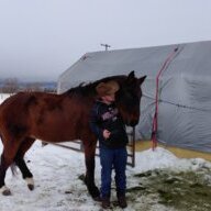 TheHorseDude
