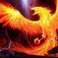 PhoenixHaven