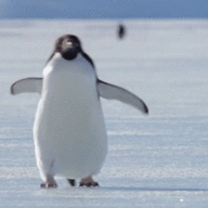 321GAME
