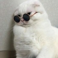 p0sh