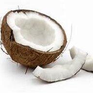 CoconutShell