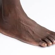 Foot