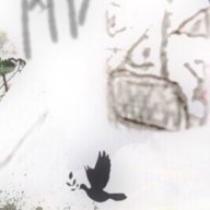 dove