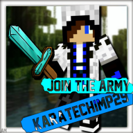 karatechimp29