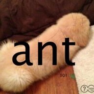 Antvfx
