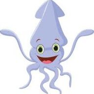 SquidBoy