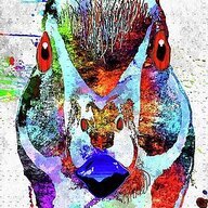 DucklingDisaster