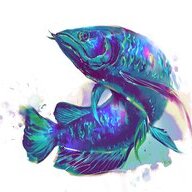Ryozuki