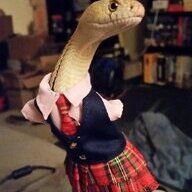TheSnek