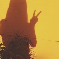 xShadowed