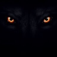 Wolflie