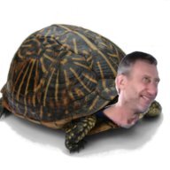 Zqv