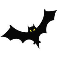 Heiki